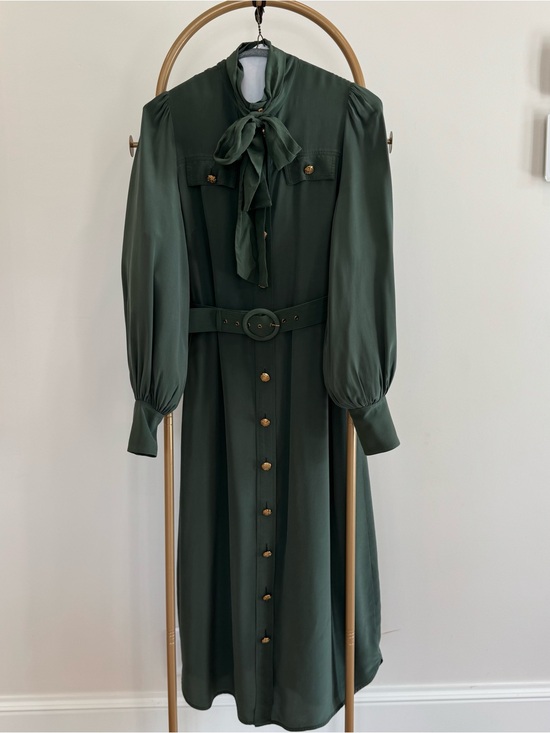 Zimmermann Dresses & Skirts - Zimmermann Forest Green Long Sleeve Tie-Neck Midi Dress